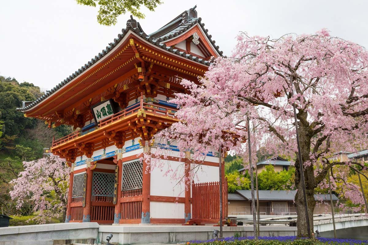 ⛩️ 신들의 영혼 신사 (카모스 진자) 이미지 5